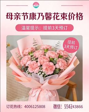 雅安石棉县花店母亲节康乃馨花束