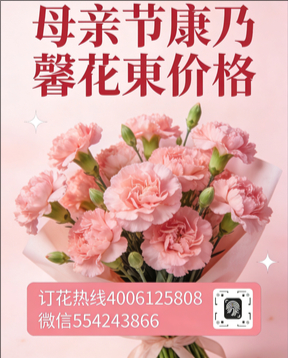 雅安石棉县花店母亲节康乃馨花束